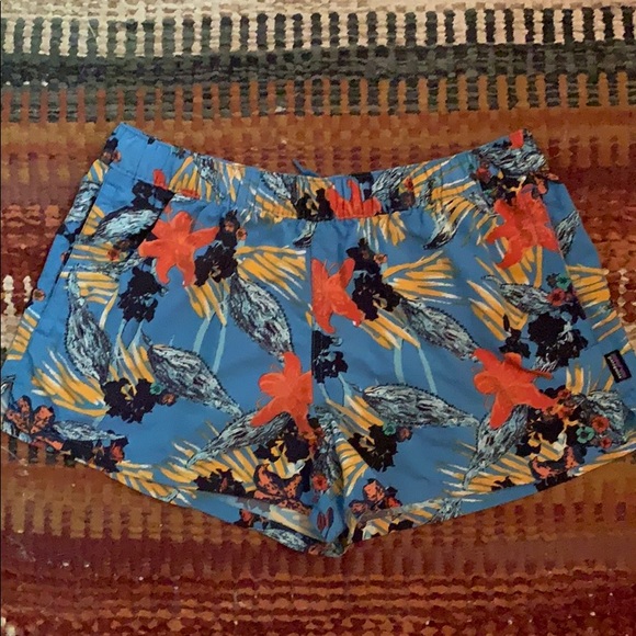 Patagonia Pants - Patagonia Baggies